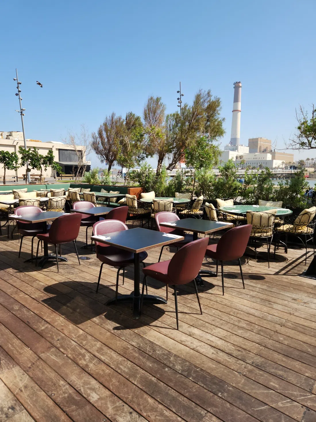 Rashel, Tel Aviv