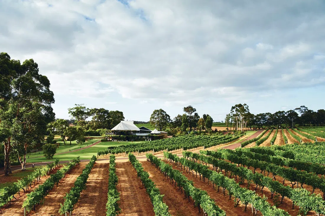 Vasse Felix, Perth