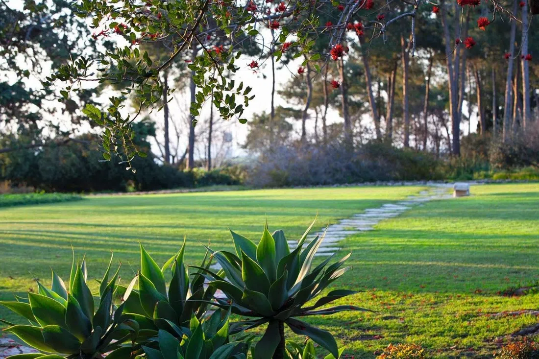 Ramat Hanadiv, Tel Aviv