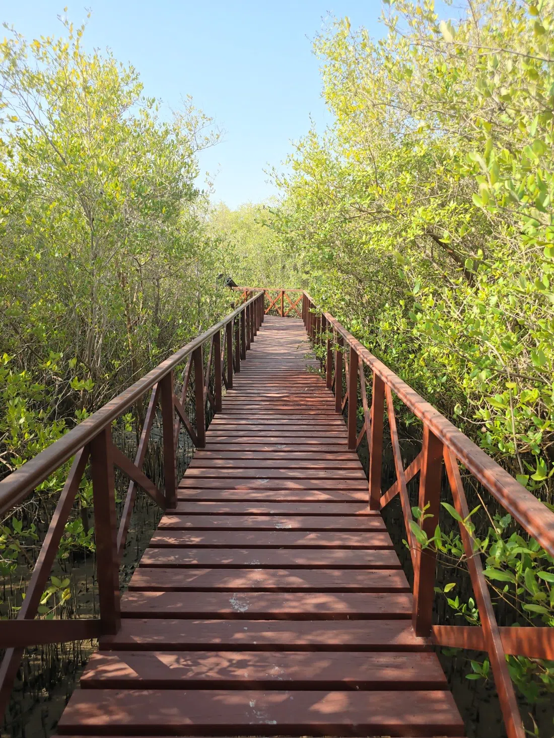 Daymaniyat Islands Nature Reserve (Environment Authority entry permit), Muscat