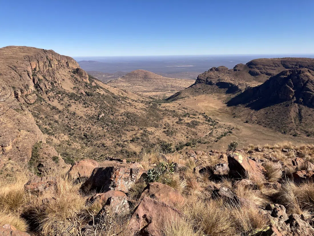 Lenong Viewpoint, Johannesburg