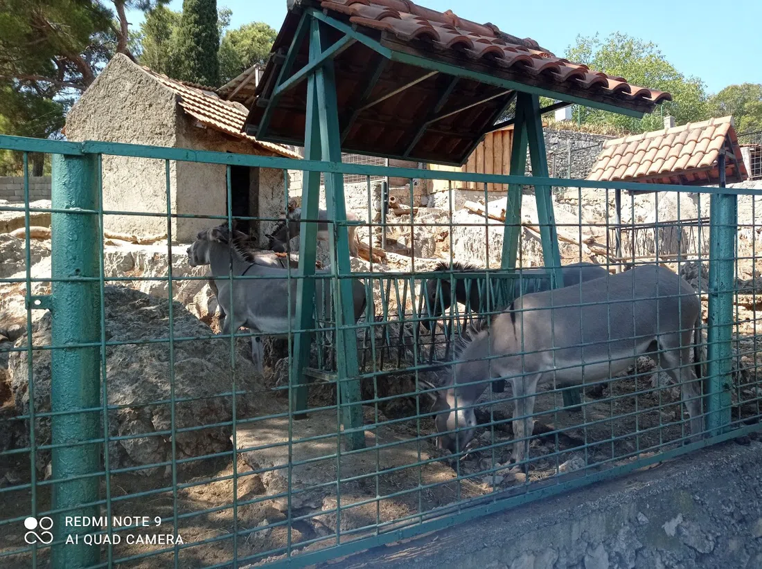 Natural History Museum & Zoo, Split, Split